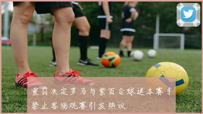 重罚决定罗马与紫百合球迷本赛季禁止客场观赛引发热议