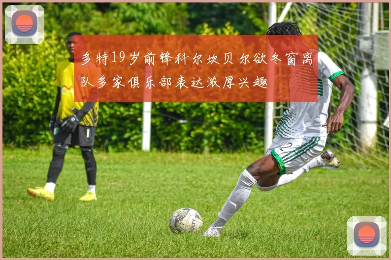 多特19岁前锋科尔坎贝尔欲冬窗离队多家俱乐部表达浓厚兴趣